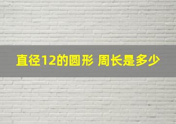 直径12的圆形 周长是多少